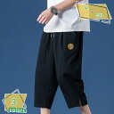 メンズ パンツ 綿麻 クロップドパンツ リネンパンツ 7分丈 ワイドパンツ サルエルパンツ リラックス パンツ イージーパンツ アンクル丈 ベーシック ボトムス アラジンパンツ 大きいサイズ 無地 夏 ユニセックス カジュアル RaogtCYU