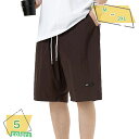 ショートパンツ メンズ ドライパンツ ストレッチ 無地 ハーフパンツ ショーツ バギーパンツ ワイドパンツ キャンプ サーフ 短パン 涼しい イージーパンツ ストリート系 ワークマン カーゴパンツ RaogtCYU