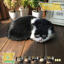 1600円OFFクーポン リアル 猫 CAT 21*17*6cm 大きい 特大 サイズ ぬいぐるみ リラックス ネコ 枕 抱き枕 ふわふわ モチモチ プレゼント ギフト 通年 添い寝枕 もえもえ 大きい 端午の節句 プレゼント ソファー デスク 恋人 ベッド RaogtCYU