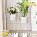 プランタースタンド アイアン 花台 玄関 フラワースタンド 室内 おしゃれ 高さ60/80cm 観葉植物 棚 2段 フラワーラック 白 黒 鉢 ポット スタンド...