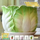 300円OFFクーポン 植木鉢 陶器鉢 白 おしゃれ 受け皿付き 穴付き 色 鉢 プランター 鉢植え 北欧 室内 インテリア 部屋 飾り 観葉植物 プランター ...