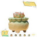 300円OFFクーポン カラー フラワーポット 植木鉢 鉢 フラワーポット 多肉植物 サボテン 花 植物 プラント インテリア レトロ おしゃれ オシャレ お洒...