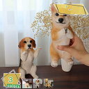 ガーデンオーナメント 犬 置物 ガーデニング 庭 アウトドア いぬ ドッグ 犬のオブジェ ガーデン飾り置き物 イヌ フィギュア リアル 屋外装飾 樹脂製 庭アート飾り 農場 田舎 ガーデニング雑貨 綺麗な置物 道路 インテリア RaogtCYU