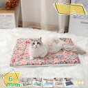 500円OFFクーポン 暖かい フリース ペット用ベッド マット クッション布団 可愛い ふわふわ ペット犬 猫 ブランケット毛布 秋冬 防寒 洗える ぐっすり眠る 快適 犬小屋 ケージ お部屋 車内 玄関 クーラー用 秋冬の防寒 暖か 犬猫ペット用 RaogtCYU