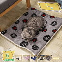 777円OFFクーポン ペット用 ブランケット 毛布 犬猫 マット タオル クッション ソフト ふわふわ 暖かい 秋冬の防寒 保温 洗える 防寒マット お部屋 車内 犬小屋 ケージ ベッドカバー 布団 敷き物 お出かけ 小中大型ペット用 お部屋 車内 玄関 RaogtCYU