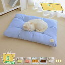 777円OFFクーポン 冷房対策 ベッドマットブランケット ペット用ベッド犬マット毛布 猫 小型犬 小中大型 マット クッション 犬 通年 もこもこ猫用 洗える ぐっすり眠る 快適 ふわふわ ベッドソファ 寝心地 クッション 安心 洗える 星空 RaogtCYU