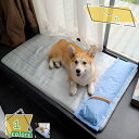 300円OFFクーポン 犬 ベッド 猫 べッド ふかふか 夏用 オールシーズン ソファー 洗える 通気性 ペット ベッド クッション ソファ 猫用 ネコ ねこ ...