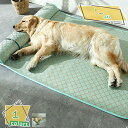 300円OFFクーポン 犬 ベッド 猫 べッド ふかふか 夏用 オールシーズン ソファー 洗える 通気性 ペット ベッド クッション ソファ 猫用 ネコ ねこ ...