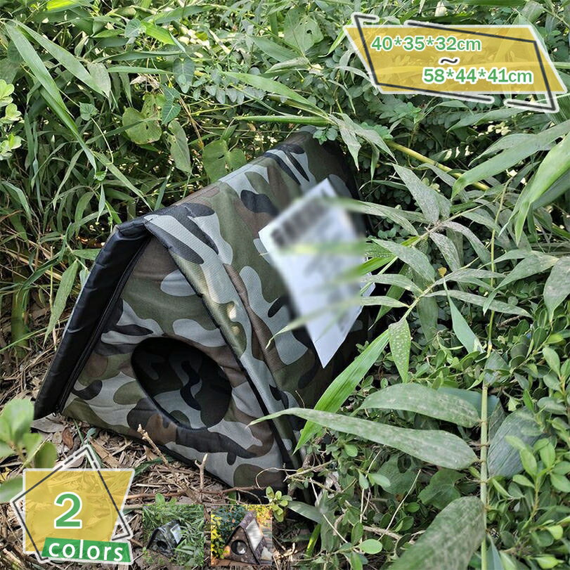 1000OFFݥ ɿڥåȥϥ ǭѥϥ ǭ ɿ  ɱ Ȥ Ѵ ѵ ǭβ ƥ  ݲ ̲ ޤꤿ...