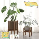 プランタースタンド フラワースタンド 天然木 2色 観葉植物 室内 鉢台 フラワーポット ブナ 植木鉢台 インテリア 円形 丸脚 十字 木製 北欧 プランター ...
