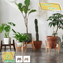 フラワースタンド プランタースタンド 植木鉢台 ガーデンラック 花台 鉢スタンド 植木鉢スタンド 屋内 フラワーポット 室内 インテリア ガーデン 観葉植物 北...