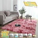 1000円OFFクーポン ラグ ラグマット 100x200cm マイクロファイバー 滑り止め 絨毯 防音 厚手 冬用 夏用 床暖房 じゅうたん 一年中使える 北...