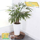 1000円OFFクーポン 木製鉢置き 丸型キャスター付 30*30cm 花台 植木鉢台 車輪つき プランタースタンド プランターベース キャリー キャスター ウッド木製 プランター プランターベース フラワースタンド 持ち運びに便利な車輪付き おしゃれ 鉢台 室内 屋内 RaogtCYU