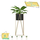 300円OFFクーポン フラワースタンド おしゃれ プランタースタンド ゴールド 70cm 花台 室内 アイアン プランター スタンド スリム 観葉植物 台 ポット カバー フラワー ラック コンパクト 鉢 植木鉢 鉢置き 玄関 花 飾り台観葉植物や置き物などのディスプレイに RaogtCYU(3)