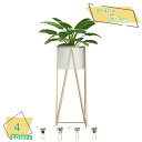 フラワースタンド おしゃれ プランタースタンド ゴールド 70cm 花台 室内 アイアン プランター スタンド スリム 観葉植物 台 ポット カバー フラワー ラック コンパクト 鉢 植木鉢 鉢置き 玄関 花 飾り台観葉植物や置き物などのディスプレイに RaogtCYU(3)