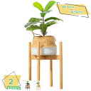 300円OFFクーポン 植木鉢台 竹製 鉢置台 フラワースタンド ラウンド 花台 鉢スタンド フラワー ガーデニング フラワー 園芸 ラック 棚 軽量 頑丈 屋...