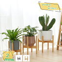 1000円OFFクーポン ウッドスタンド 植木鉢 おしゃれ ガーデン雑貨 かわいい インテリア フラワースタンド 花台 鉢スタンド 竹製 プランタースタンド 観...