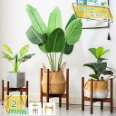 鉢 花台 植木鉢スタンド 天然竹製 プランタースタンド 鉢スタンド ホームガーデン 植物棚 フラワースタンド ウッドスタンド 頑丈 屋内 屋外 高さ50cm ポ...