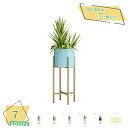 2000円OFFクーポン フラワースタンド 円柱 直径約23 高さ60cm 園芸ラック スタンド型植木鉢 ゴールド 丸形 アイアンスタンド 室内 観葉植物 プラ...