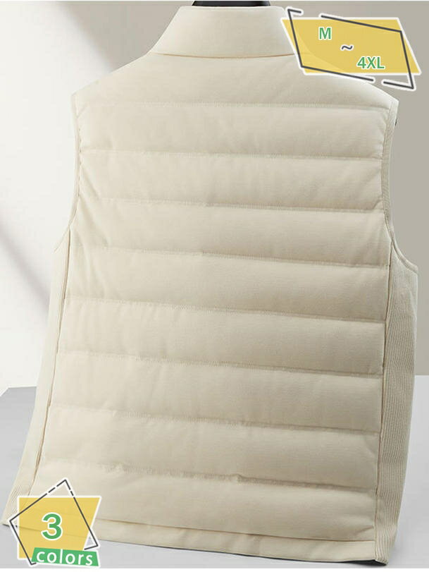インナーダウン ベスト メンズ 立ち襟 軽い ダウンベスト チョッキ ゴルフ アウター 防寒 暖かい あたたかい ビジネス お仕事 仕事用 オフィス ギフト プレゼント 贈り物 RaogtCYU(4)