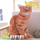 ねこ 抱き枕 クッション ぬいぐるみ おもちゃ かわいい ふわふわ ねこ 動物 飾り物 大きい お誕生日 プレゼント かわいい ぬいぐるみ 動物 お祝い インテリア 動物 クッション 店飾り レッド もこもこ 昼寝まくら 抱き枕クッション RaogtCYU