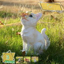 庭彫刻の装飾 キャット センサーライト 電池不要 ソーラーランプ 猫 ソーラーオーナメント ソーラー置物 太陽光充電 かわいい アンティーク 庭オブジェ おしゃ...