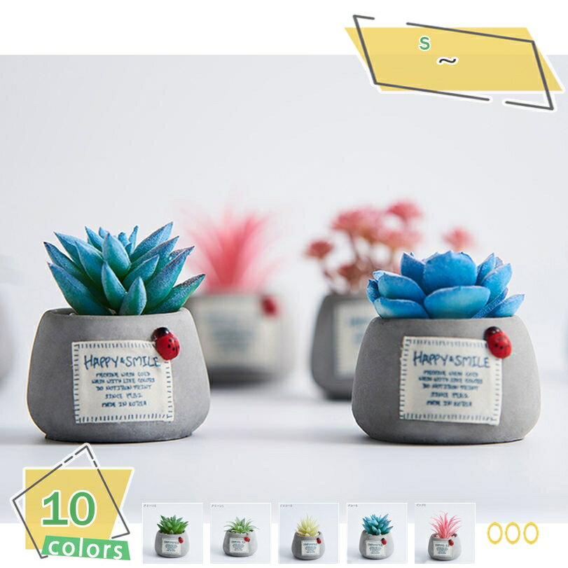500円OFFクーポン クリエイティブ 人工多肉植物 フラワーポット付き ミニ鉢植え 多肉植物 ホームデコレーション 置物 サボテン 10種類 癒やし空間 楽しいDIYキット セメントベース オブジェ 観葉植物 カントリー雑貨 プランター ギフト グレー RaogtCYU