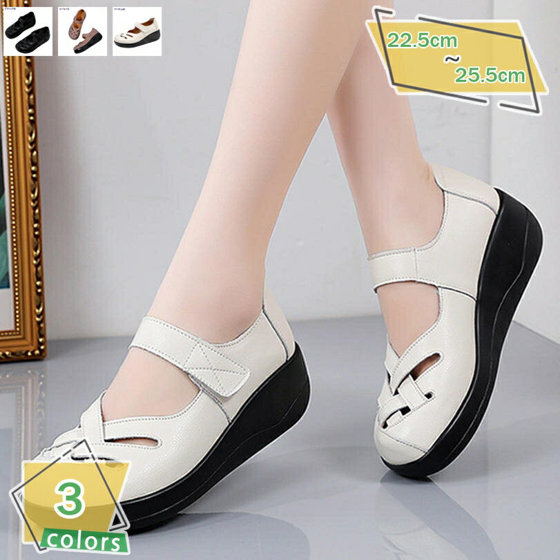 500��OFF�����ݥ� �����å������� �ѥ�ץ� ��ǥ����� ���� 5cm ������� �İ��� ���ʤ� �ؿͷ� ����ե����ȥ������ �⤭�䤹�� �����奢�륷��...