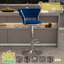 2000円OFFクーポン カウンターチェア バーチェア 背もたれ椅子 昇降 回転式 カウンター チェアー コンパクト 軽量 おしゃれ 椅子 オフィス フロント バー 昇降式 ヴィンテージ調 ハイチェア フットレスト付き低い背もたれ RaogtCYU