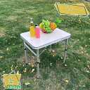 300円OFFクーポン レジャーテーブル 折りたたみ テーブル 幅 60cm 軽量 アルミ製 アウトドア キャンプ ピクニックテーブル アウトドアテーブル 高さ...