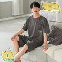 パジャマ メンズ ポリエステル繊維 無地 2点セット 夏 メンズパジャマ ホームウェア 適度なストレッチ ギフト 父の日 大きいサイズです ルームワンピース お...