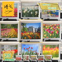 300円OFFクーポン 母の日タペストリー 北欧 カラフルなチューリップの花と木々 壁掛け おしゃれ 多機能 飾り付け 背景布 室内装飾タペストリー カーテン ...
