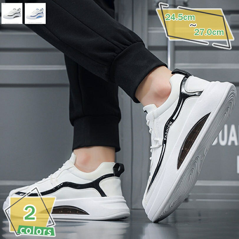 1000OFFݥ 奢 塼  졼å ˡ å 󥰥塼 ե  »η ȥܡɥ...