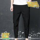 300円OFFクーポン アンクルパンツ メンズ ストレッチ 夏用 パンツ チノパン 9分丈 9部丈 ストレッチ スラックスパンツ メンズパンツ 春秋 サマーパンツ スリムフィット アンクルくるぶし丈 スリム アンクル丈パンツ RaogtCYU