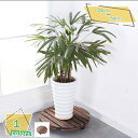 500円OFFクーポン 木製鉢置き 丸型キャスター付 30×30cm 花台 車輪つき プランタースタンド キャリー ウッド プランター インテリア 鉢台 室内 持ち運びに便利な車輪付き 小回り効く 木製花台 植木鉢台 直径30センチ 木製 花台 鉢置台 キャスター付き RaogtCYU