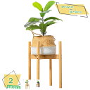 フラワースタンド 花台 竹製 多肉植物 鉢スタンド 観葉植物スタンド 1個 屋外室内 盆栽スタンド プランタースタンド 庭 ガーデン 園芸ラック 植木鉢台 ポッ...