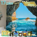 自然風景タペストリー 布製 美しい海 日の出 ビーチと椰子の木 ハワイアン風 多機能 毛布 おしゃれな壁掛け インテリア ファブリック装飾用品 モダンなアート 部屋 窓カーテン 個性ギフト 新居祝い RaogtCYU