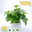 観葉植物 光触媒 ミニ 鉢植え 消臭 抗菌 フェイクグリーン 造花 鉢 人工観葉植物 おしゃれ インテリア 雑貨 人工 フェイク グリーン 卓上 緑 植物 鉢植...