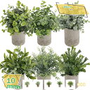 460円OFFクーポン 人工観葉植物 造花 鉢植え 光触媒 フェイクグリーン インテリア おしゃれ グリーン デコレーション 枯れない 手作り 本物 癒しの 木...