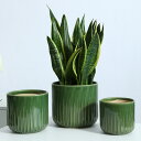 760円OFFクーポン 陶器鉢 プランターポット お洒落な植木鉢 寄せ植え鉢 トレイ付き アンティーク 円筒形 背が高い 観葉植物鉢 装飾用プランター 多肉植物...