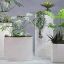 室内用植木鉢 陶器植木鉢大 排水孔付き ベーシック セメント植木鉢 お洒落な植木鉢 大型 セメント製 プランター 鉢植え フラワーポット 鉢植えカバー 庭木鉢 ...