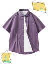 1000円OFFクーポン シャツ メンズ 夏服 半袖 カーゴシャツ 大きいサイズ ゆったり カジュアル ビジネス 通気性 薄手 涼しい 涼感 吸汗速乾 汗染み防止 無地 おしゃれ ワイシャツ 爽やか 夏 ビーチ ポケット付き ファッション RaogtCYU