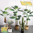人工観葉植物 人工樹木 フェイクグリーン 観葉樹木 インテリア インテリアグリーン 大きい 大きめ 盆栽植物 人工観葉植物 ディフェンパキア 枯れない 人工植物 開店 新築祝い おしゃれ リアルな枝葉 観葉植物 人工樹木 RaogtCYU