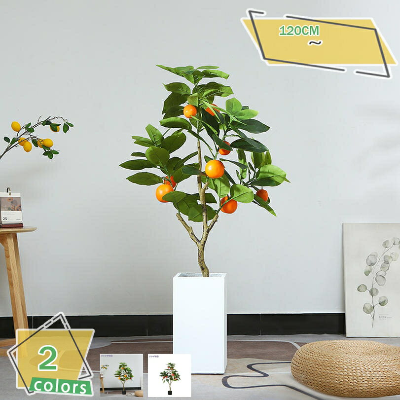 1000円OFFクーポン フェイクグリーン リアル インテリア 観葉植物 フェイク 常緑樹 人工観葉植物 リア..