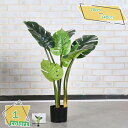 3500円OFFクーポン 人工観葉植物 大型 おしゃれ フェイクグリーン リアル 観葉植物 屋外 インテリア 店舗 エントランス 会議室 オフィス 緑化 職場環境 おしゃれ ホテル ルーム お祝い 開店祝い 開業祝い 大型 家の中に置く フェイクグリーン RaogtCYU