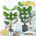 1600円OFFクーポン フェイクグリーン 大型 フェイク観葉植物 人工観葉植物 おしゃれ リビング 大きい 本物そっくり リビング キッチン 玄関 廊下 ダイニング 寝室 ベッドルーム 書斎 トイレ 新築祝い 開業・開店祝い プレゼント 観葉植物 RaogtCYU