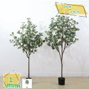 760円OFFクーポン 人工観葉植物 インテリア フェイクグリーン 大型 人工観葉植物 フェイクグリーン フィカス 心地よく温かい リビング キッチン 玄関 廊下 ダイニング 寝室 ベッドルーム 鉢付き 植木鉢 リアル 引っ越し 株立ち 人工観葉樹 RaogtCYU