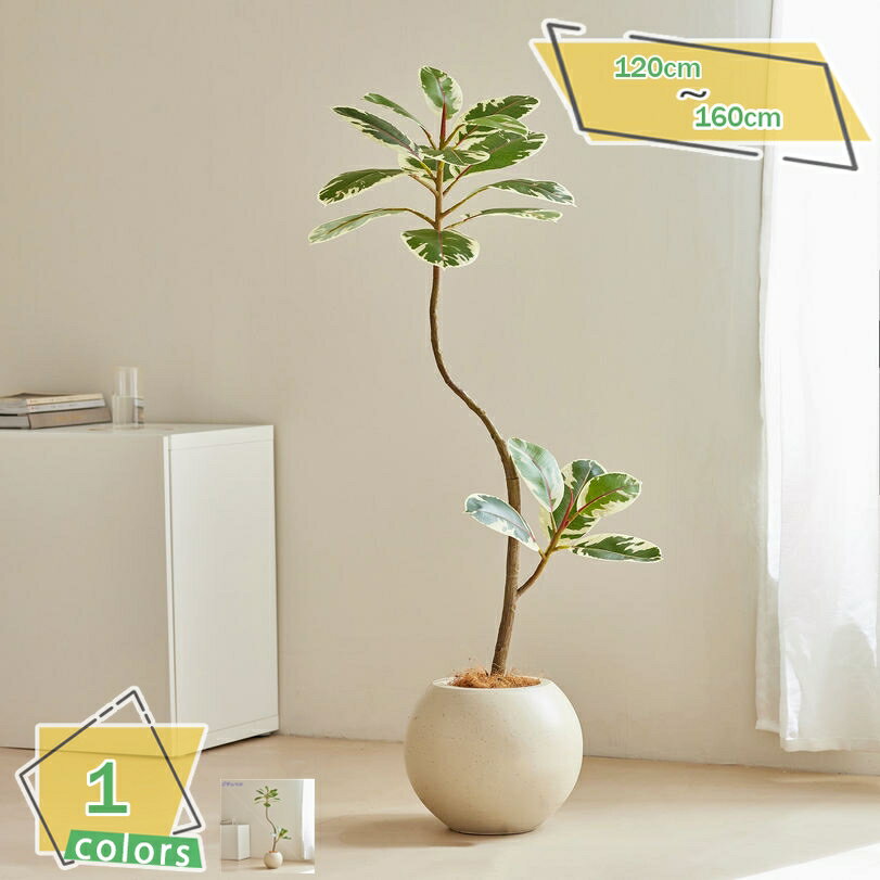 2000円OFFクーポン フェイクグリーン 大型 人工観葉植物 インテリア 人造植物 人造緑 人工観葉樹 人造樹 店舗 エントランス 会議室 オフィス 結婚 飾り用 お手入れ簡単 虫害の心配なし 大型 人工観葉樹 水やり不要 カビの発生もない 常緑樹 RaogtCYU