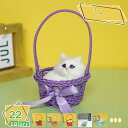460円OFFクーポン 置物 オブジェリアル 猫 置物インテリアデザイン小物猫 ギフト癒し かわいい お返し 置物 インテリア猫 好き な 人 へ の プレゼント 独り暮らし 暖かい 雰囲気 お見舞い誕生日プレゼント 女性 彼女 結婚記念日 転居 最適なプレゼント RaogtCYU
