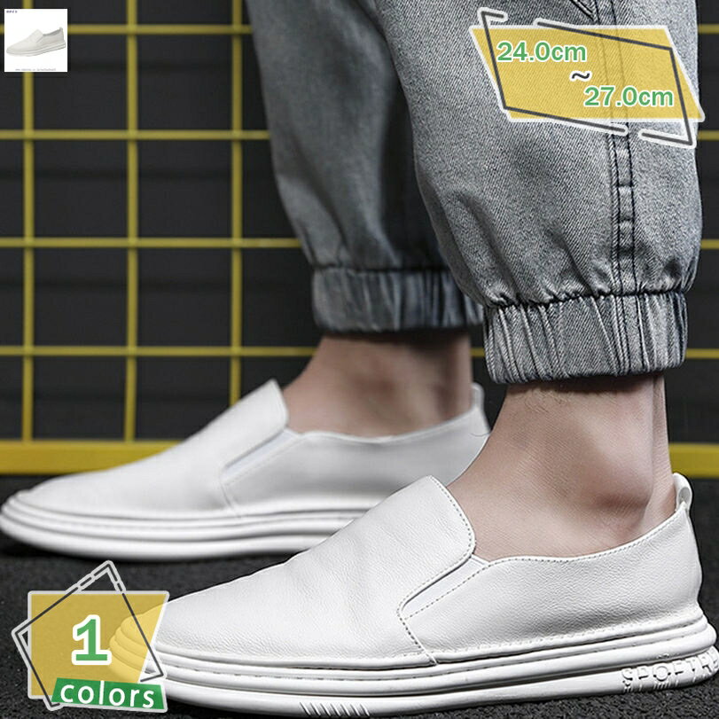 1000OFFݥ åݥ  ˡ ǥå塼 ɳ ̵ ȥɥ 奢 æñ å ץ 奢륷塼...